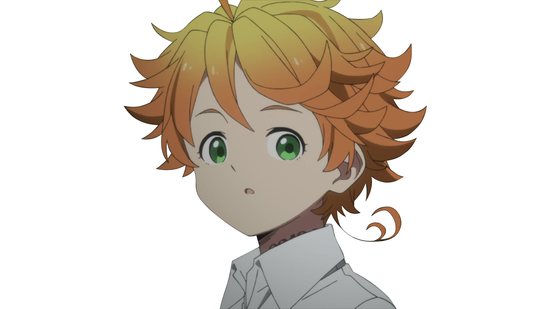 Foto del participante